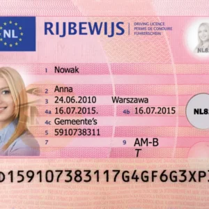 Dutch driver license